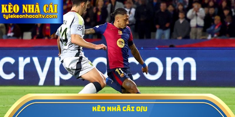 Khám Phá Thế Giới Kèo Nhà Cái - Từ Cơ Bản Đến Nâng Cao