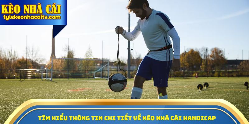 Tỷ Lệ Nhà Cái – Hướng Dẫn Toàn Diện Cho Người Mới